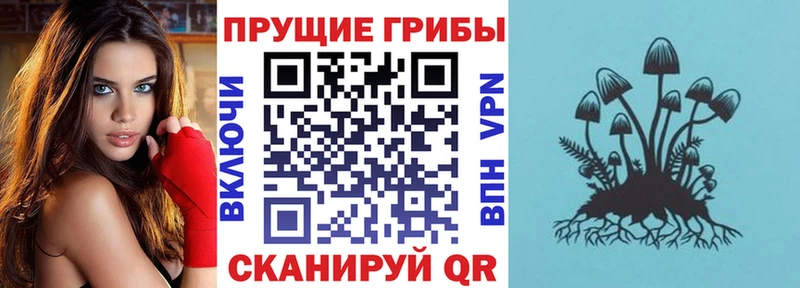 это Telegram  Рославль  Псилоцибиновые грибы GOLDEN TEACHER 