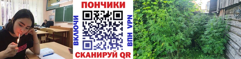 Каннабис индика Рославль